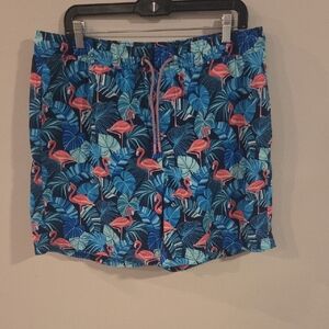 Flamingo Print Swim Trunks - Blue and Pink